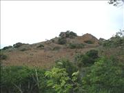 Bonaire1_2