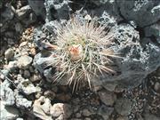 Bonaire1_3
