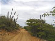 Bonaire1_4