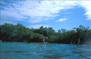 Bonaire1_5