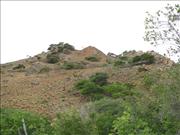 Bonaire2_10