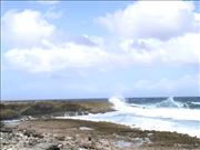 Bonaire2_3
