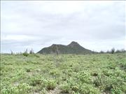 Bonaire2_4