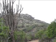 Bonaire2_5