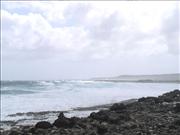 Bonaire2_8