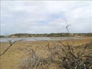 Bonaire3_2