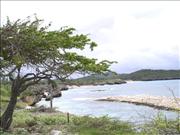 Bonaire_2