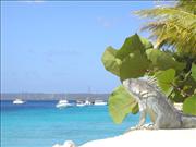 Bonaire_3