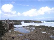 Bonaire_7