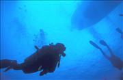 Bonaire_8