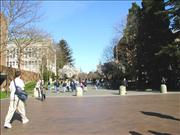 Seattle_10