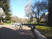 Seattle_11