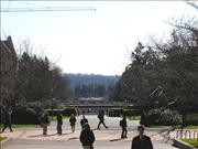 Seattle_7