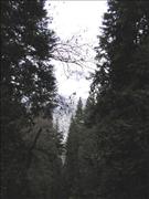 Yosemite2_5
