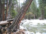 Yosemite2_8