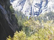 Yosemite3_11