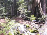 Yosemite5_11