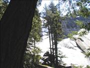 Yosemite5_2