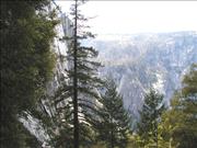 Yosemite6_2