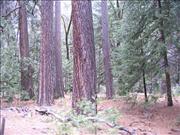 Yosemite_9