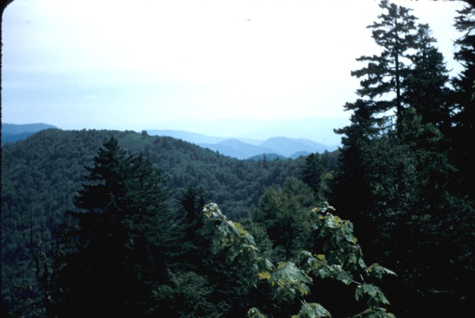 Barrow family photograph