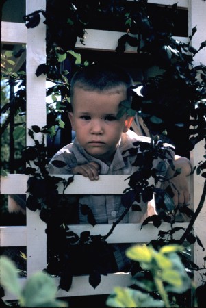 Barrow family photograph