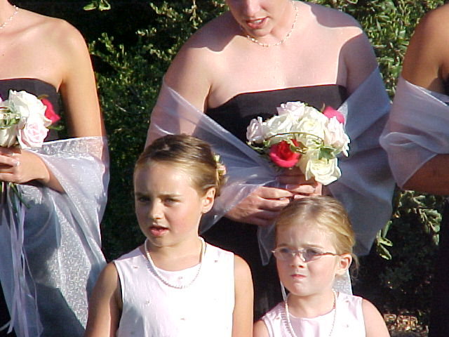  Lori Hudson Barrow wed Ronald Lawrence Fulmer