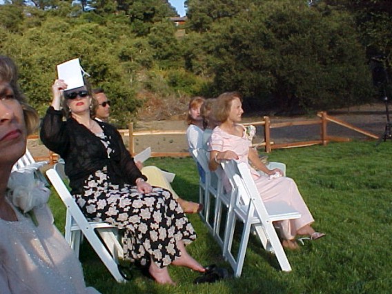 Lori Hudson Barrow wed Ronald Lawrence Fulmer 