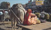 IndiaNepal1_10