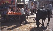 IndiaNepal1_7