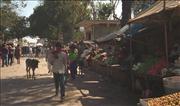 IndiaNepal1_8