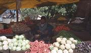 IndiaNepal1_9