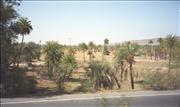 IndiaNepal2_4