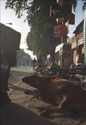 IndiaNepal4_5