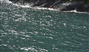 NZ2_2