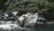 NZ2_3