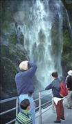 NZ2_5