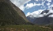 NZ_11