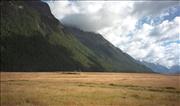 NZ_6