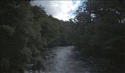 NZ_9