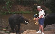 Thai3_2