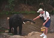 Thai3_3