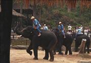 Thai3_5