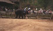 Thai3_6