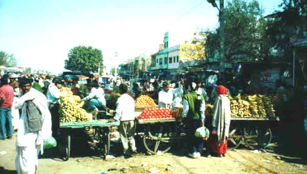 India and Nepal Scenes