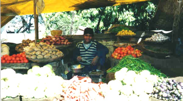India & Nepal Scenes, 2000