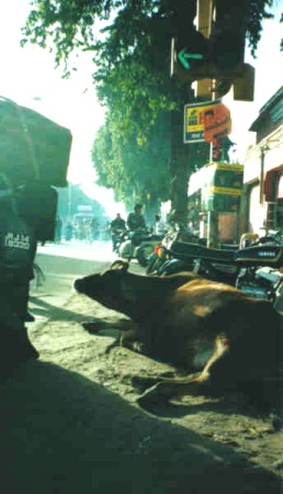India & Nepal Scenes, 2000